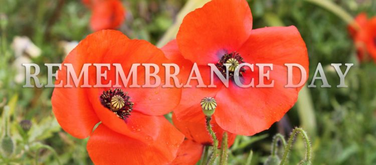 Remembrance Day